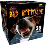 Bad Attitude