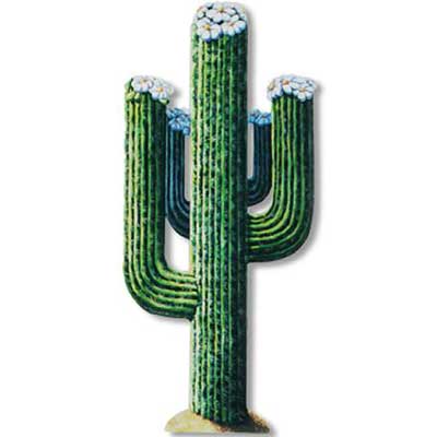 Jointed Cactus