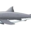 Jointed Shark Cutout