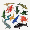 Sea Creatures