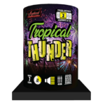 Tropical Thunder