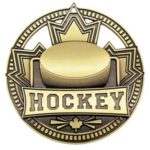 Patriot Hockey Medal